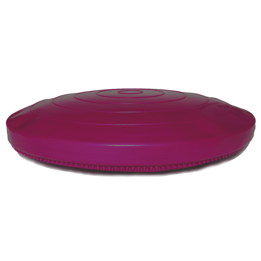 FitPAWS Balance Disc blue, dog balance rehab, dog balance tools
