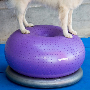 FitPAWS Circular Product Holder with FitPAWS TRAX Donut, Dog Balance equipment, at home dog rehabilitation