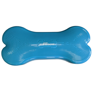 FitPAWS Giant K9FITbone Turquoise, Dog balance equipment, at home dog physical therapy