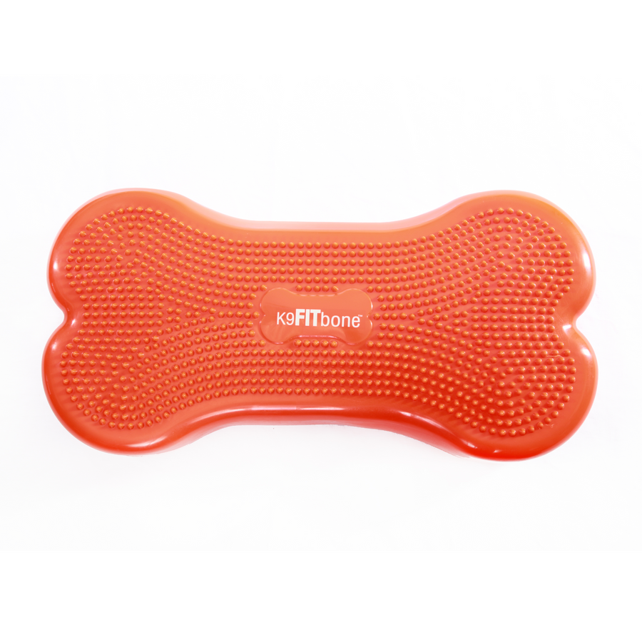 K9FITbone - FitPaws - Original - Animal Ortho Care