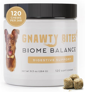 Gnawty Bites Biome Balance Digestive Support Supplements
