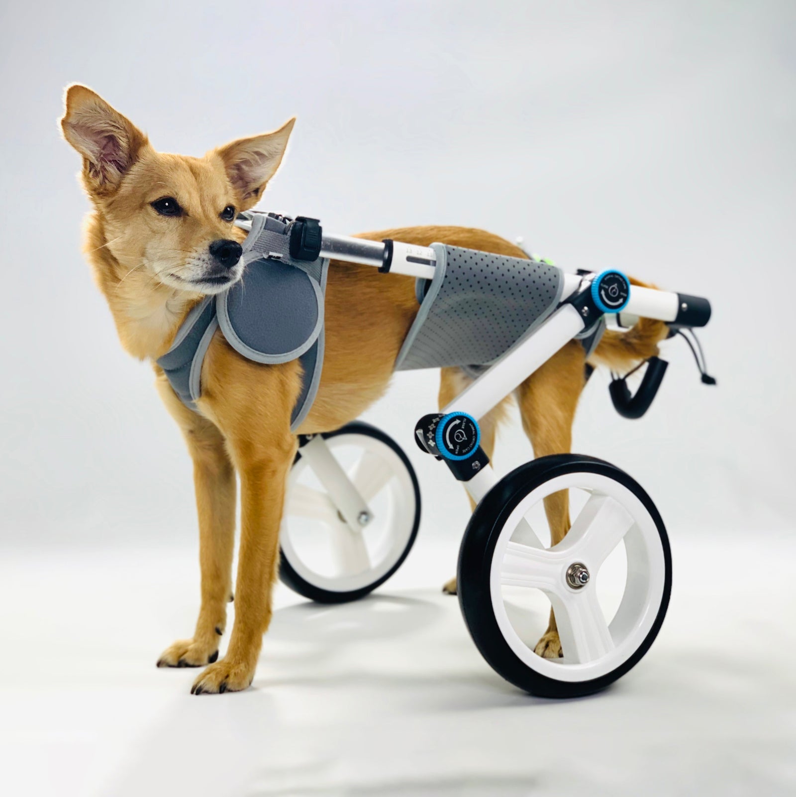 Haute Wheels Dog Wheelchair Animal Ortho Care