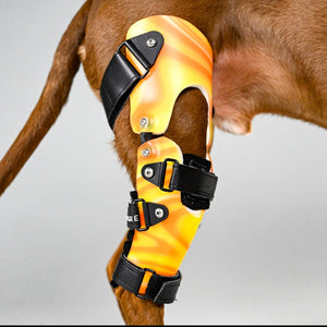 Custom dog knee brace, dog knee brace, dog acl injury, conservative treatment for dog knee injury