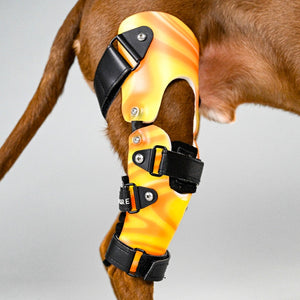 Dog knee brace, Custom dog knee brace, knee brace for dogs