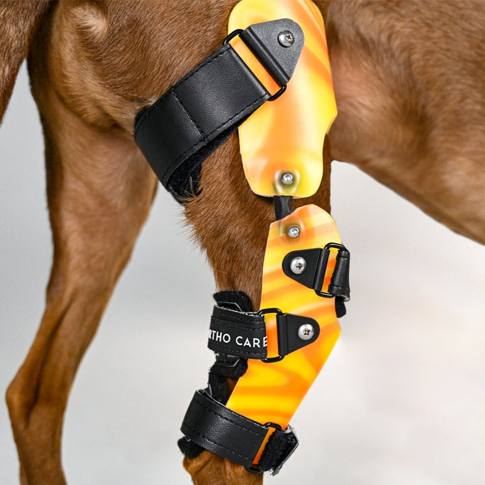 Custom Dog Knee Brace  CCL/ACL Stifle Rear Leg Dog Brace - Animal Ortho  Care