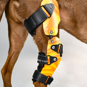 Custom Dog knee brace, dog ccl injury brace, acl injury dogs