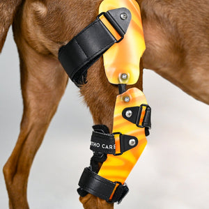 Dog knee brace, custom dog knee brace, knee brace for dogs 