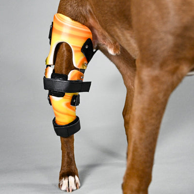Custom dog on sale knee brace