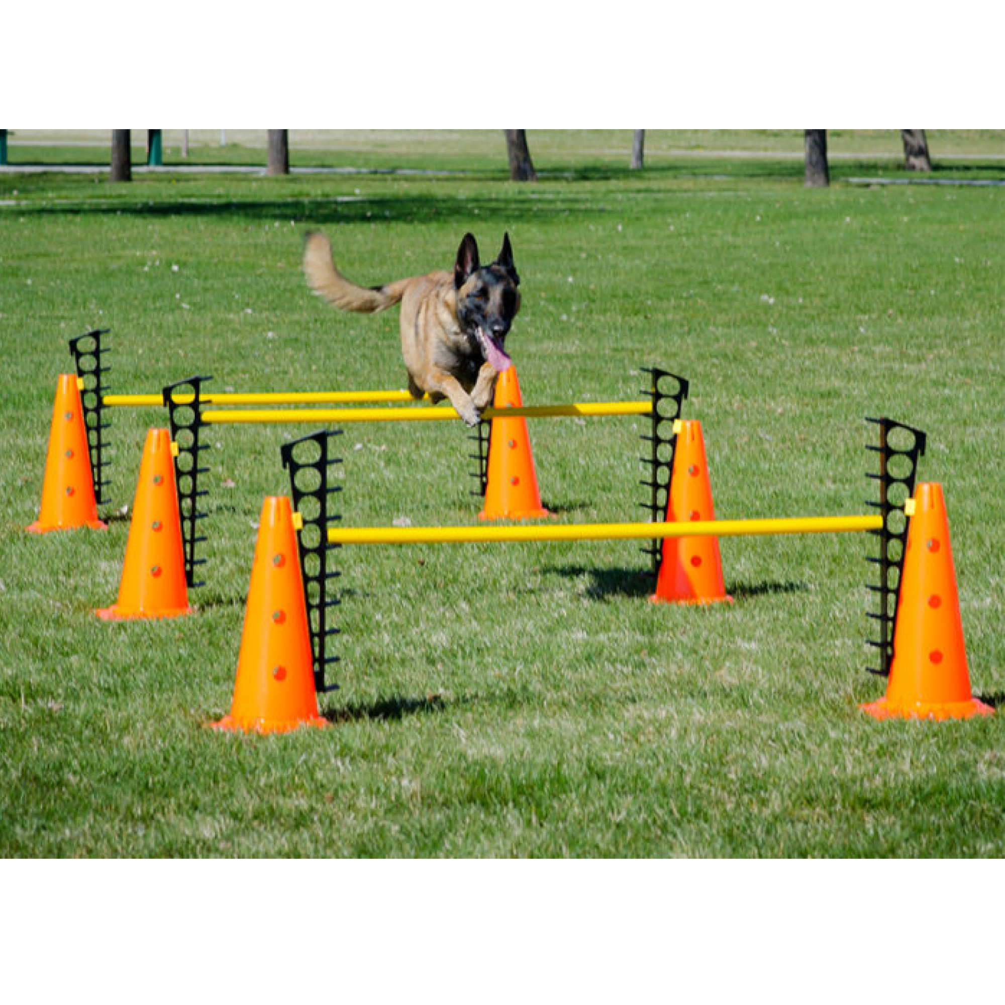 Hurdle Set FitPaws Animal Ortho Care