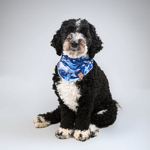 Barque & Bau - Blue Bioluminescence Pet Bandana - Animal Ortho Care