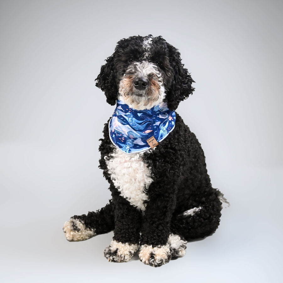 Barque & Bau -Blue Bioluminescence Pet Bandana - Animal Ortho Care
