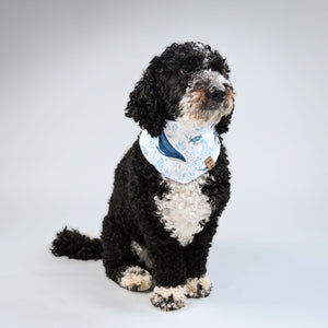 Barque & Bau - Ocean Blues Pet Bandana - Animal Ortho Care