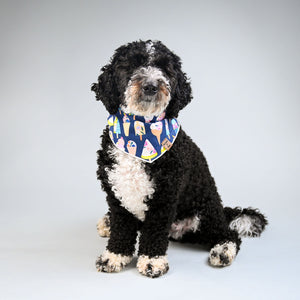 Barque & Bau - Sweet Sorbet Bandana - Animal Ortho Care