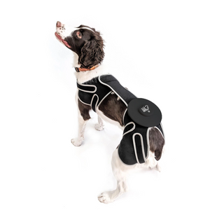EMbrace Relief System | Hip, Back, & Shoulder Therapy - Animal Ortho Care