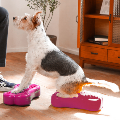 https://www.aocpet.com/cdn/shop/products/Terrier-FitPAWSMiniK9FITbone-Razzleberry-DogPhysicalTherapy_400x400.png?v=1657214231