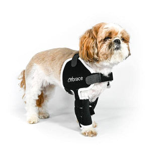 EMbrace Shoulder Support - Animal Ortho Care