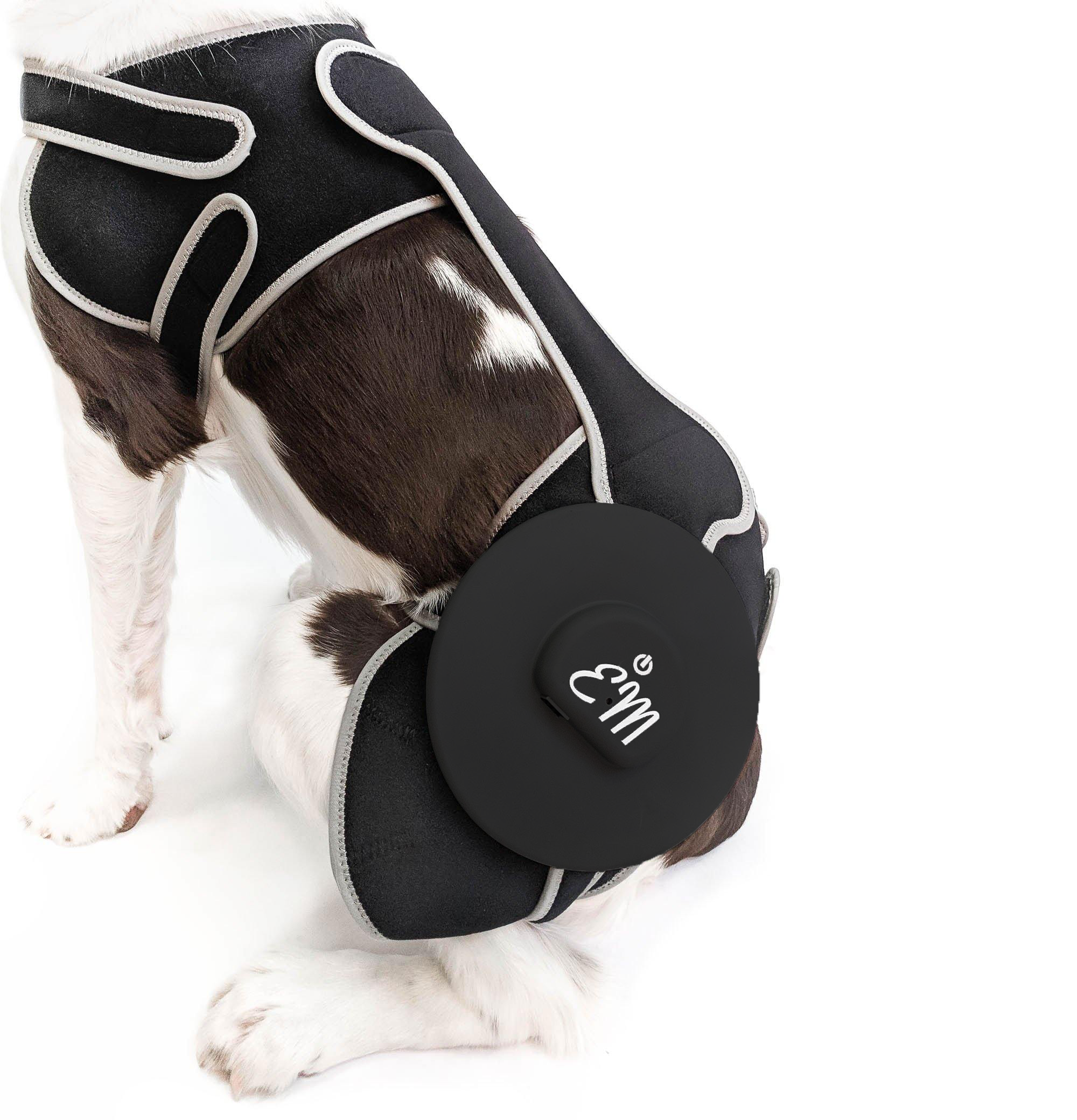 Temporary relief deals for dog