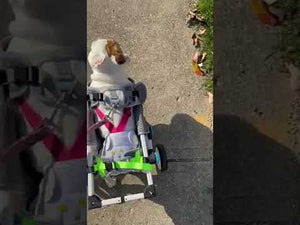 Haute Wheels Dog Wheelchair