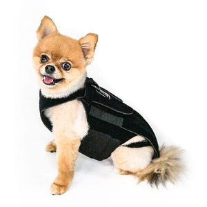 L'il Back Bracer Dog Back Brace - Animal Ortho Care