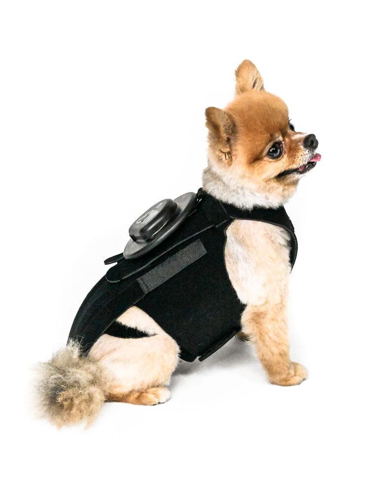 EMbrace L'il Back System (EMpower + L'il Back Bracer) - Animal Ortho Care