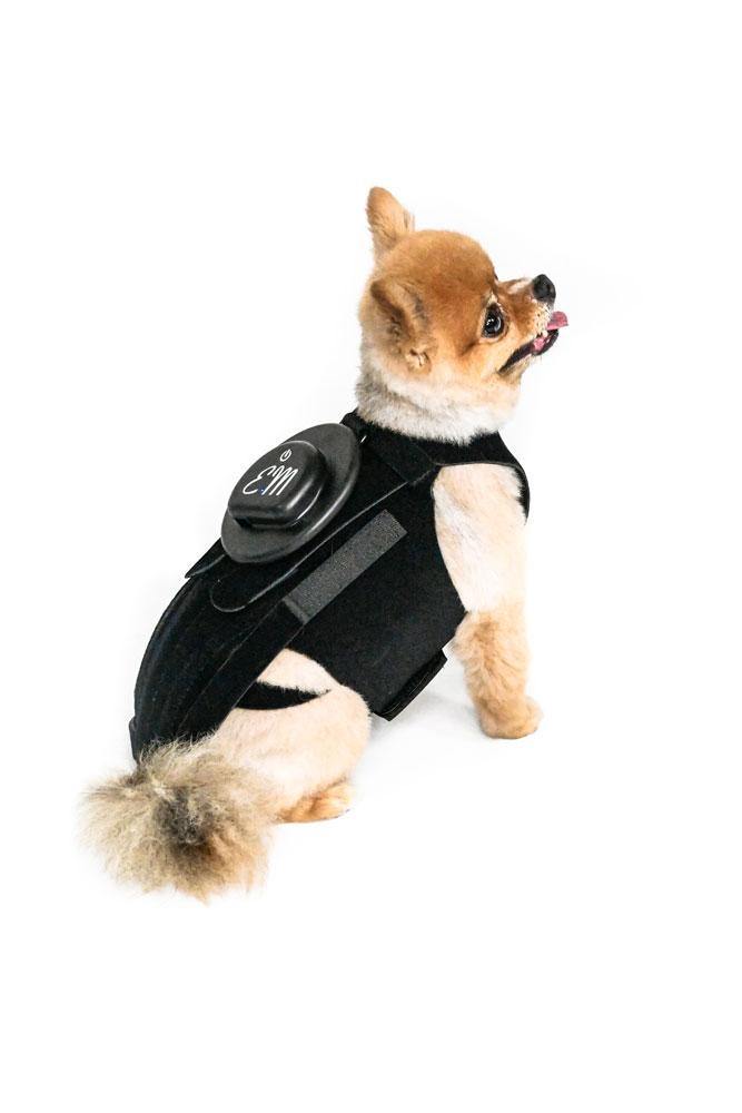 EMbrace L'il Back System (EMpower + L'il Back Bracer) - Animal Ortho Care