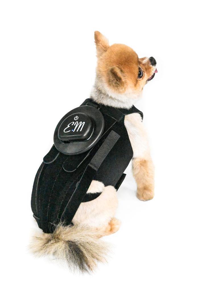 EMbrace Relief System - EMpower Device ONLY - Animal Ortho Care
